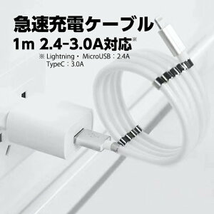 [dP[u ƊE VR[S}Olbgt Lightning/Micro USB /USB Type-C 1{I X}z iPhone Android }CNusbP[u