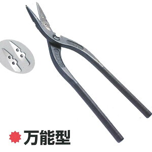 kGXp ɒB 8.5 ʗp ֐n S ؒf p   cJ~ ͂  H TOHOKU ESUPARU TVD