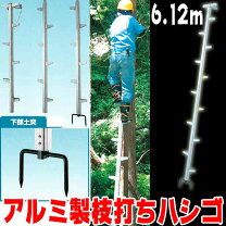 楽天市場】木登り梯子の通販