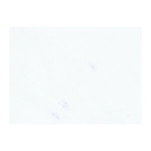 ΍ރ^C 嗝Ε VxbN 10 400×400×13 130-E MVY ׎󃊃tgK{ zpǍ  h[Ǎ AM s lzs