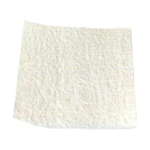 ٗp IvVi Ղ̋ʎ [ J[I  a c100mm 100mm    pi O {  ԗ V nK s