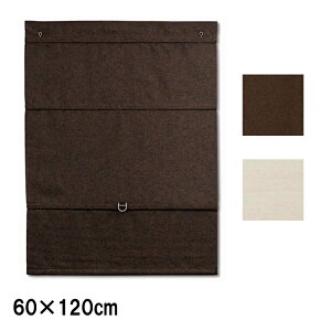6�� �R�[�h���X���[�}���V�F�[�h �X���o�[ �v���[���^�C�v ���n L6152 L6158 60×120cm �J���[2��� �ȒP���� �J�[�e�� �u���C���h �t���l�X L�N ����s��