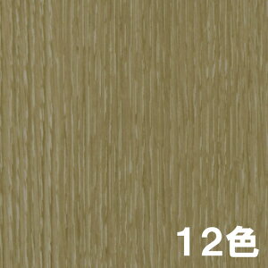 JbeBOV[g 3M _CmbN tB DRV[Y փhAp FW-DR Ebh t@CEbh 1,000mm 12F tH[ 10cmPʐؔ LN s