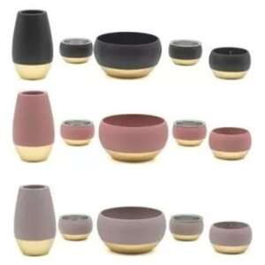 OLIVIA Belle 5 2.6 }bgsN }bgO[ }bgubN    pi O {  ԗ V nK s