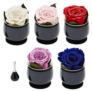  t[ 5F J[I vU[uht[    pi O {  ԗ V v您 Rv D