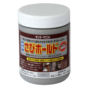 Tr~ h Xz[h 200g Vo[ K ] т̏ォ璼ړh\ Tf[yCg D s lzs