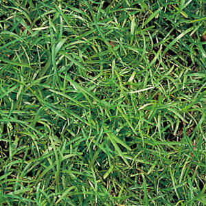    Z`s[hOX  1kg ݂̂̔̔ NHh~ Ή @ q g B s lzs