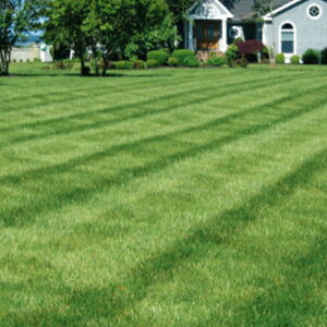    t@CA[NbJ[SLS g[tFXN  1kg ݂̂̔̔ NHh~ Ή @ q g B s lzs