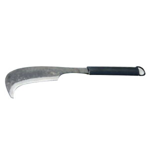 i^  P[Xt 40cm NATA ы GNXeA R ʉАEi kC  ʓr^ v s