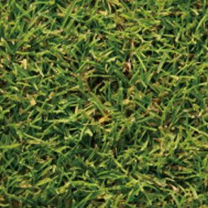    yNX CG[WPbg N[sOxgOX  1kg ݂̂̔̔ NHh~ Ή @ q g B s lzs