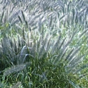 Ήp { `JVo {Y  100g ݂̂̔̔ NHh~ Ή @ q g B s lzs