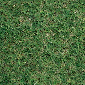    gXR`l^ CG[WPbg o~[_OX  1kg ݂̂̔̔ NHh~ Ή @ q g B s lzs