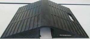 z[XveN^[ 50ӗp 30cm 3.2kg ԏ H StȂǂ VoD