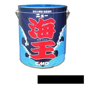 Dh ^ j[C300 ubN 4kg _ FRPDp D h D s