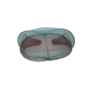 h AiSh1 S60cm 10cm 43cm 9mm 6mmXeXg fn-40C  AiS Gr UKj d| A~   Y OJG s