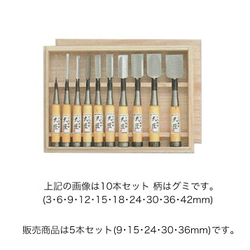 楽天市場】□伝統工芸士 岩崎鑿製作所 左のぶ弘 追入鑿 黒檀柄 黒裏 