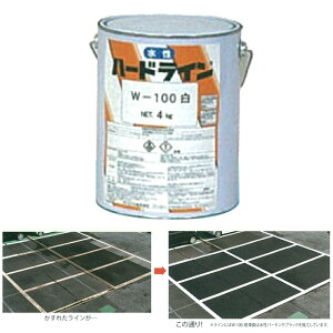 Ch n[hCW100  16kg 퉷Ŋ^Cv ԏꓙ̋敪 Ag~NX D s lzs