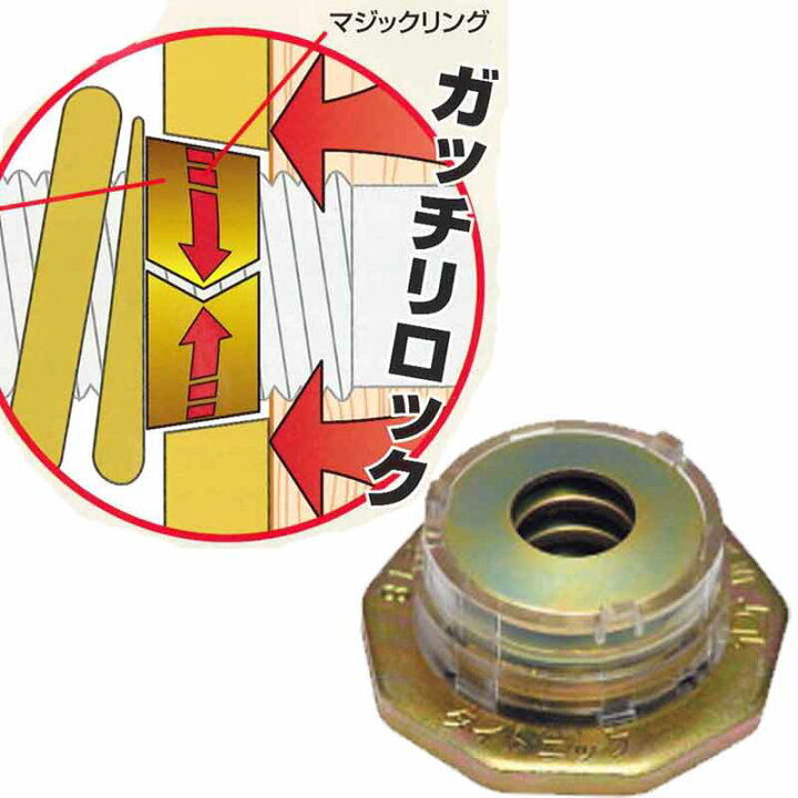 楽天市場】耐震 座金 タイトニック TZ12ME-I 300個入 Zボルト 12mm 