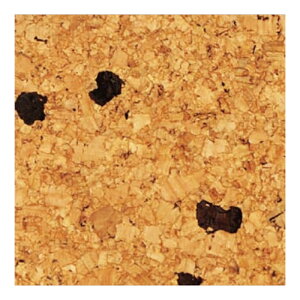 VRICd RN^C 22 COE-S5 300x300x5mm ad RN LN s