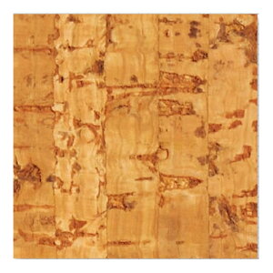 VRICd RN^C 20 COE-TIR5 300x300x5mm ad RN LN s