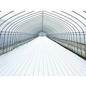 hV[g zCg OhV[g At@ ItzCg 3x100m Ռ99   zd _ ʎ g}g C`S _CI TT s