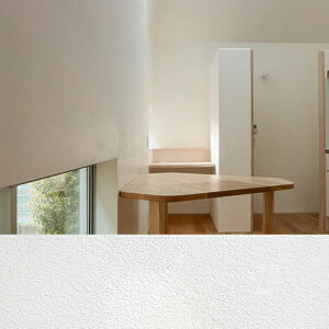  20kg  L {Hʐ10m Ǔh {GeNX s lzs