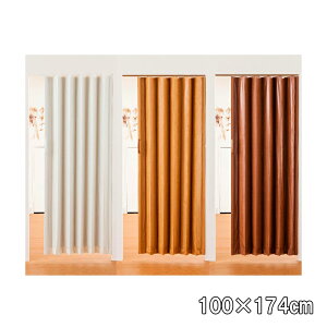 ȈՃAR[fIhA ؖڒ L5560 L5563 L5566 100×174cm J[3 ^ hA ډB ȒPt tlX LN s