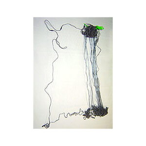 h ~Ή 1.5 50mm  1.8mx30m sn-11  ubNoX A~ W   Y OJG s