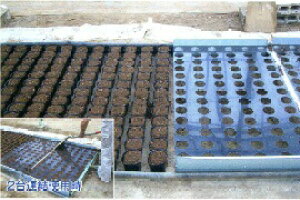 jb`|b^[ N35P 10.5 9p |bg 6×13 78 Wa 68 ؎Y Y J{ s