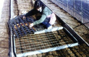 jb`|b^[ N30P 9 8 |bg 7×15 105  a 37 ؎Y Y J{ s