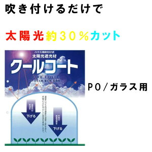Ռh nEXptzՌ N[R[g 10L PO KXp Ռ30 x 앨\ʉx  哯h D s