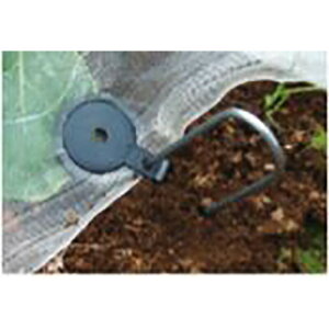 100 }tbN (~ߋ) ؎Y Y J{ s