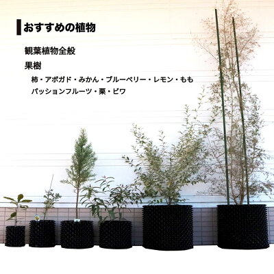 【楽天市場】20個 果樹向けポット ルートプラスポット 60L 高さ460mm × 内寸径410mm GS-AP400L RootPlus 南