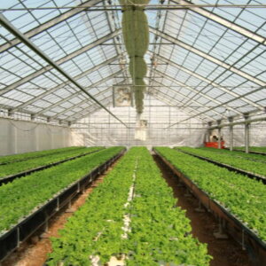 �y3/31�܂ŃG���g���[�ōő�100%P�o�b�N�z�o�c�O��5UV ����0.15mm ��400cm ����30m �O����p �T�C�h�p �����^ ���� �h�H �h�� UV�J�b�g �^�L�����V�[�A�C �TT �k�C���s�� �l��z���s�� ����s��