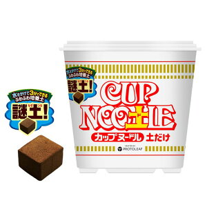 Hi Jbvk[h y 5bg y vg[t |{y ͔| A̓y n[u̓y ͔|py   ƒ؉ oPc J DZ