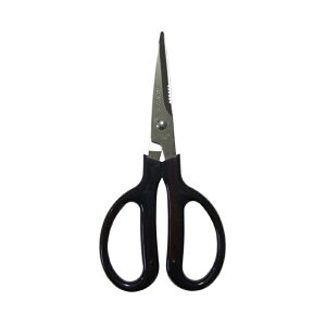 xT[H|͂ 175mm No.880 nT~ OyD