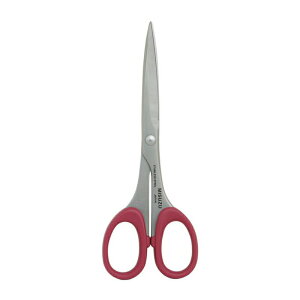 LgJbgnT~ L 170mm No.891 nT~ OyD