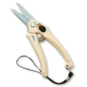 kamaki J}L  Yf (n) n[hNdグ No.P-901H OyD