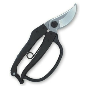 kamaki J}L  K[ht (Ȑn) No.Z-8K OyD