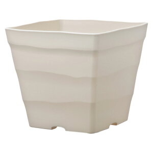 20 30^ zCg NtgXNGA |bg   AbvEFA[ ^SD