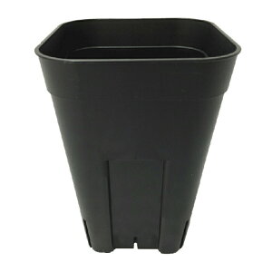 500 [^120 ubN vXe |bg   {|̔ ^S lzs kCs s