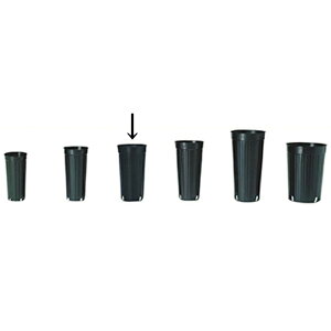 4500 12cm 2  TO O|bg ( ʎEAؗp ) ||bg C G s