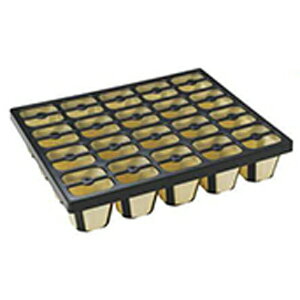 �y6/1�`�ő�100%P�o�b�N���I�ŗv�G���g���[�z�v���[�g�̂�100�� 33.5cm×49.5cm �� TO �V�X�e���v���[�gTO-SPL24 ( 9cm TO �g���[ �p ) ���C���� ��G ����s��