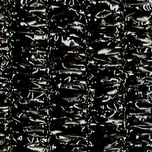 2m×50m  Ռ95`98 _CIbZ Ռlbg 2200  CmxbNX TT kCs lzs s