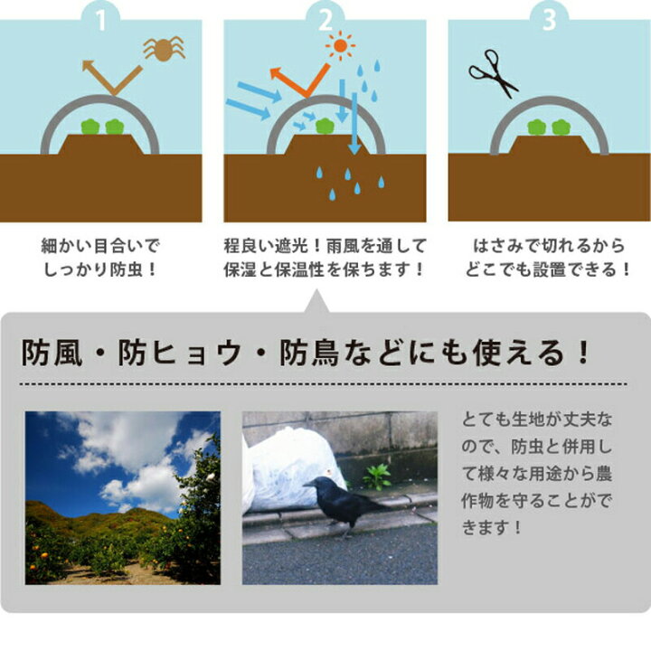 楽天市場】1.2m × 100m ナチュラル 防虫サンサンネット N3800 ビニールハウス トンネル などに 防虫ネット 日本ワイドクロス タ種 代引不可 : 農業用品販売のプラスワイズ 楽天市場】1.2m × 100m ナチュラル 防虫サンサンネット N3800 ビニールハウス トンネル などに 防虫ネット 日本ワイドクロス タ種 代引不可 : 農業用品販売のプラスワイズ