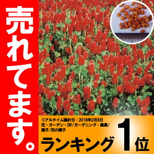 種 クリムソンクローバーの人気商品 通販 価格比較 価格 Com