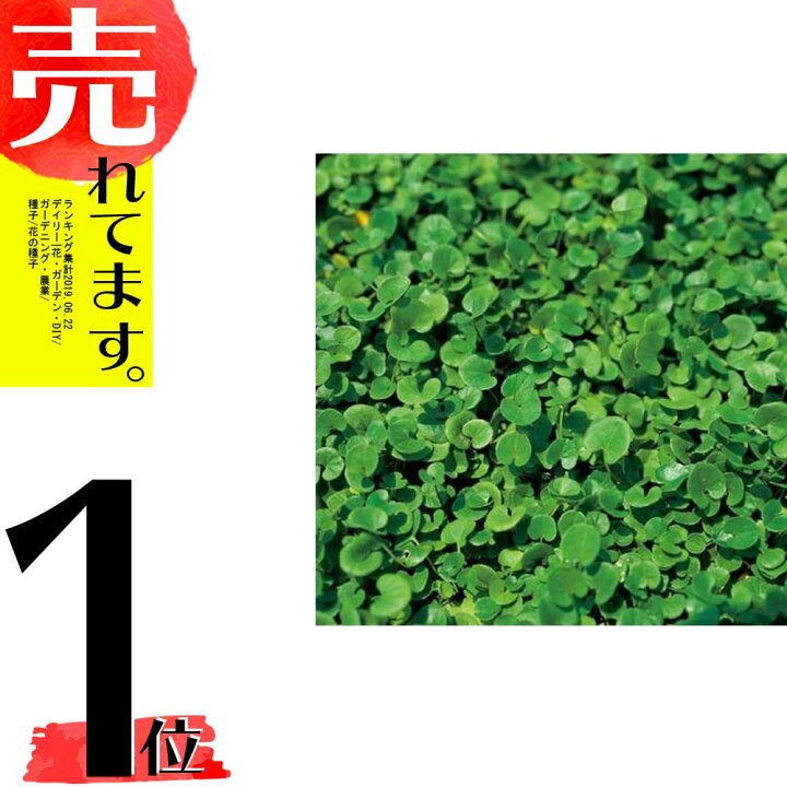 楽天市場 種 2kg ダイカンドラ コート種子 雑草対策 土壌保全 果樹草生 緑肥 播種期 4 7月 雪印種苗 米s 代引不可 農業用品販売のプラスワイズ