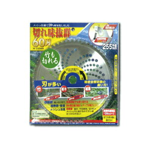 25 @p `bv\[ ؂ꖡQ60n N-25580 255×60P   ŃMl OyD