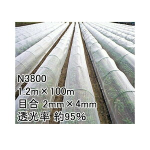 1.2m×100m i` hTTlbg N3800 rj[nEX gl Ȃǂ hlbg {ChNX ^S s
