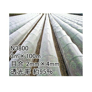 3m×100m i` hTTlbg N3800 rj[nEX gl Ȃǂ hlbg {ChNX ^S s